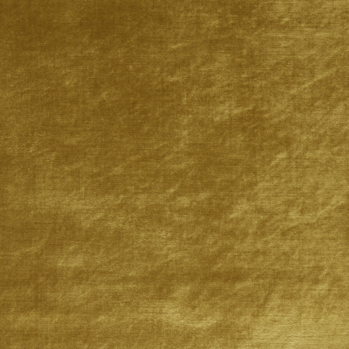 Allure-Gold