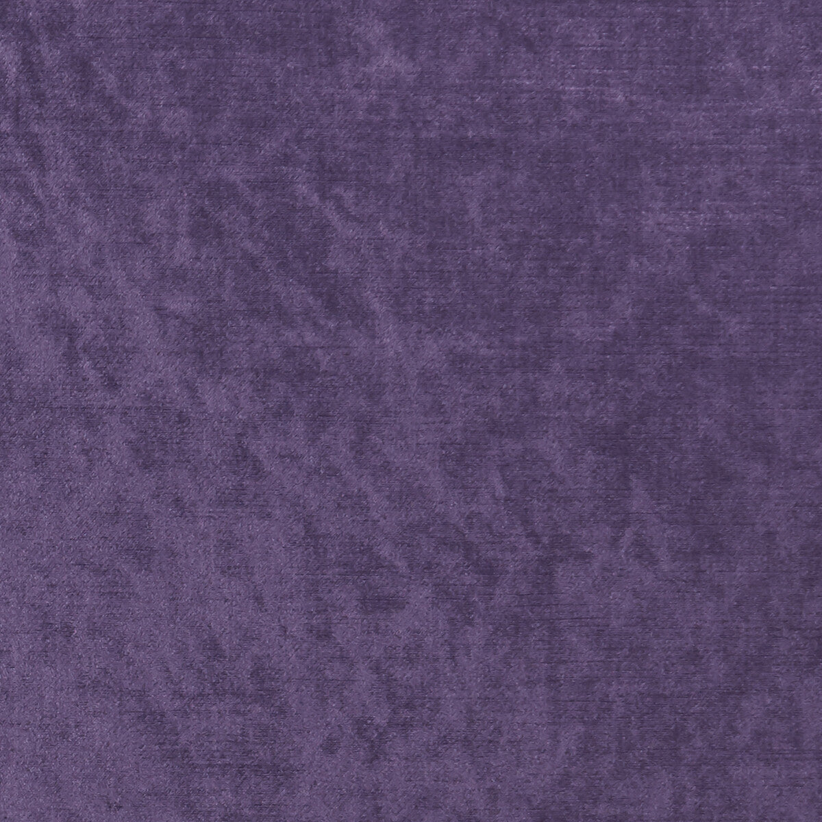 Allure-Grape