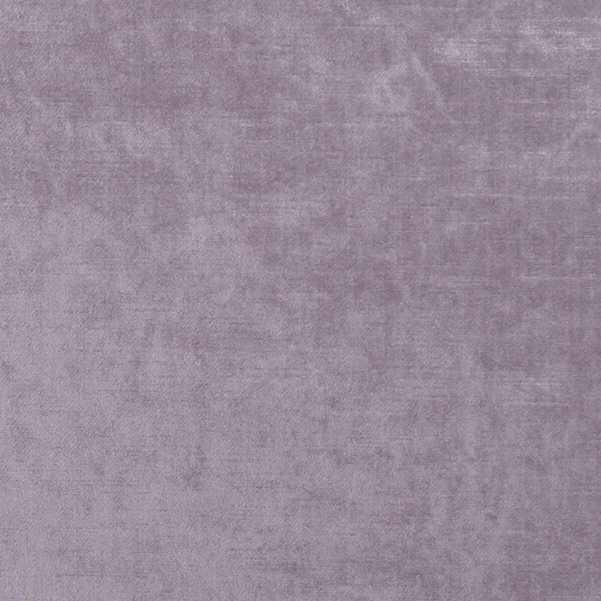 Allure-Heather