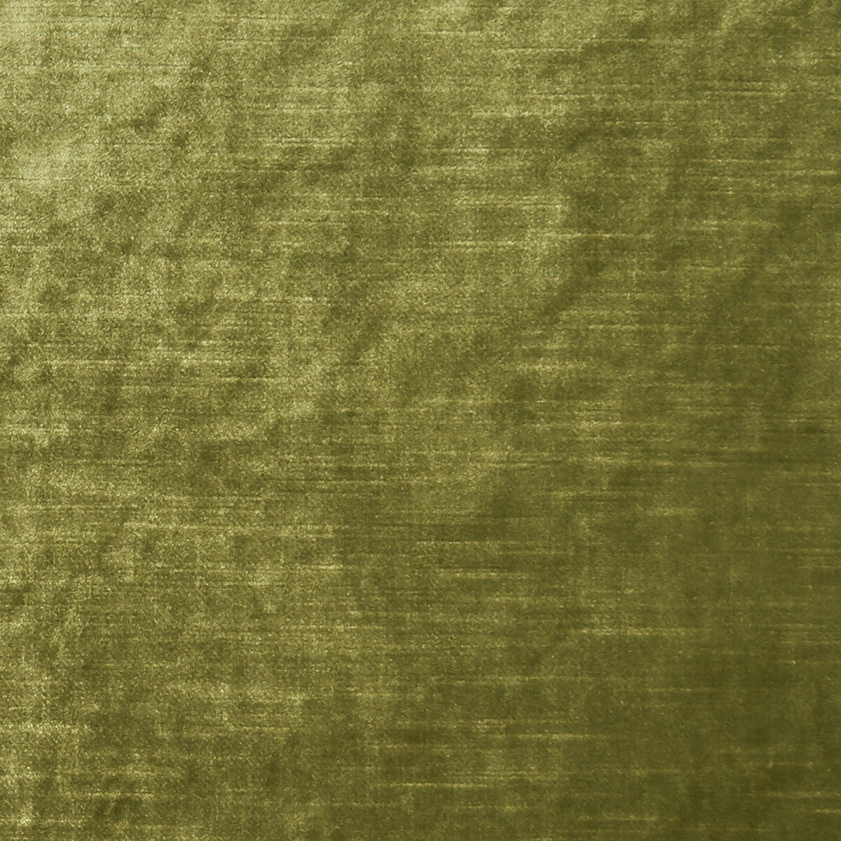 Allure-Moss