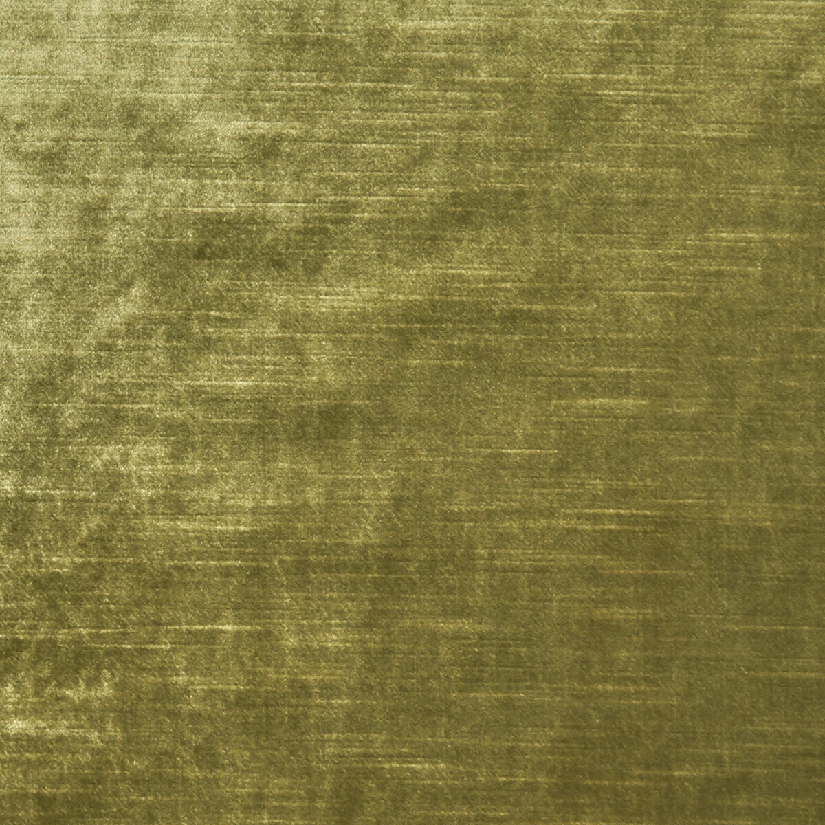 Allure-Olive