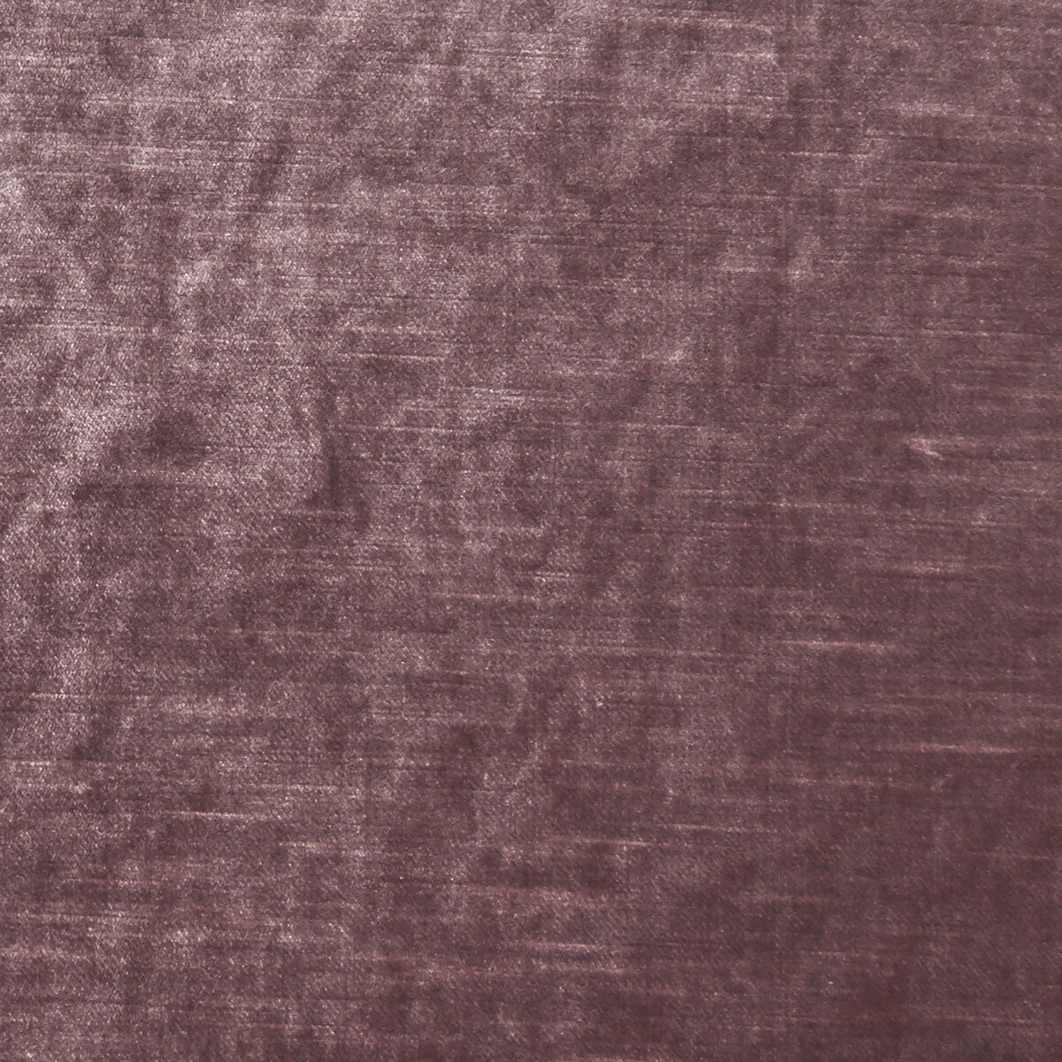 Allure-Rosewood