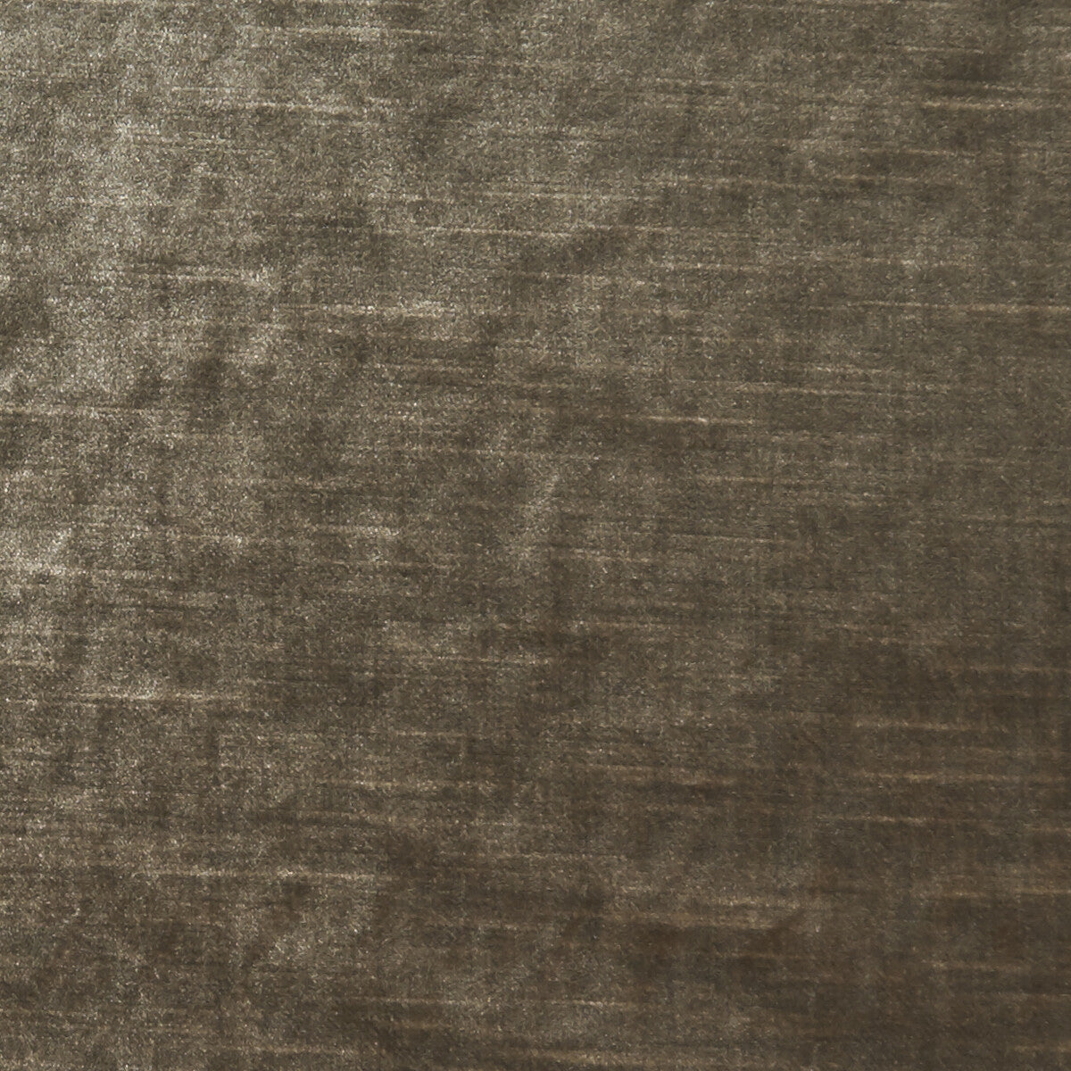 Allure-Walnut
