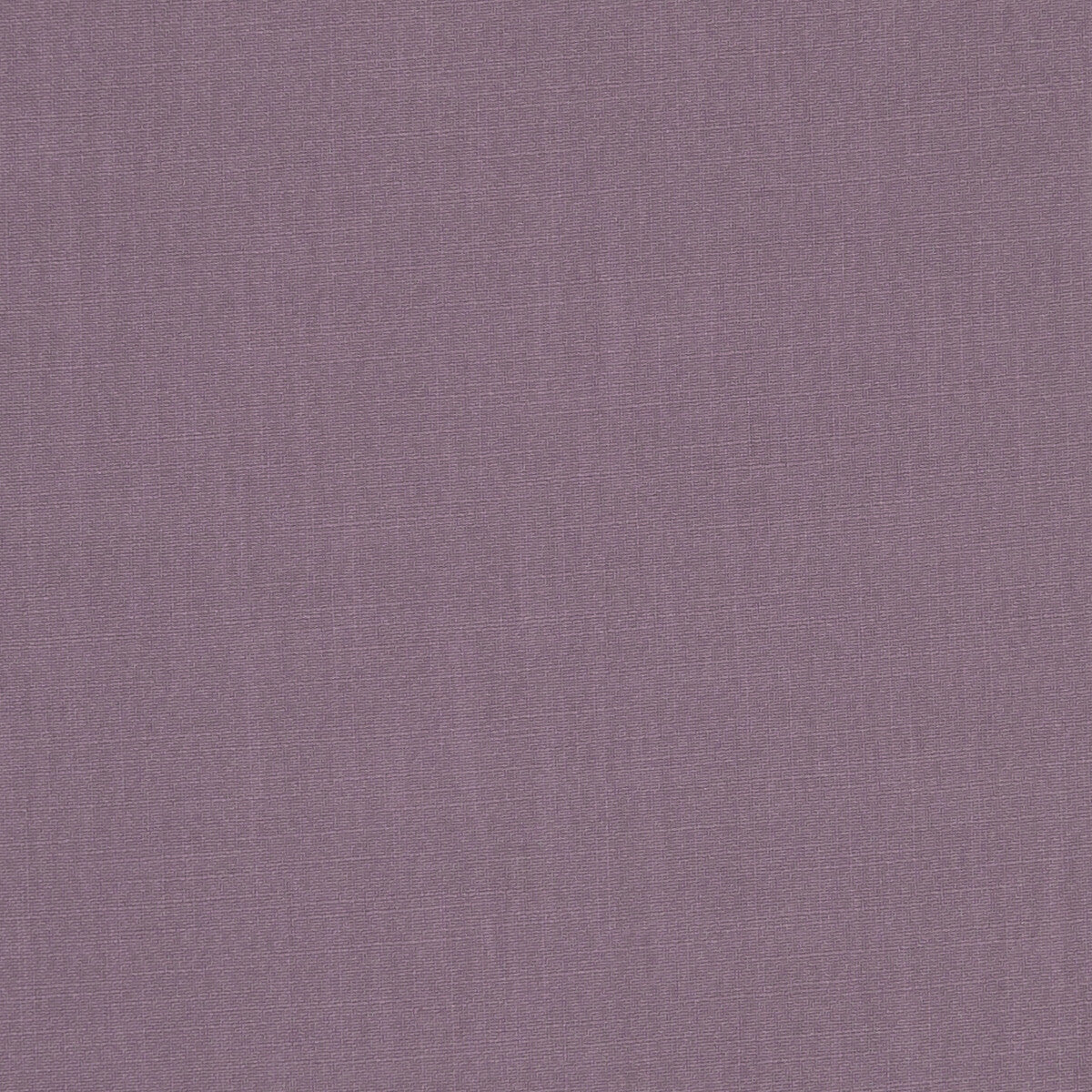 Hudson-Amethyst