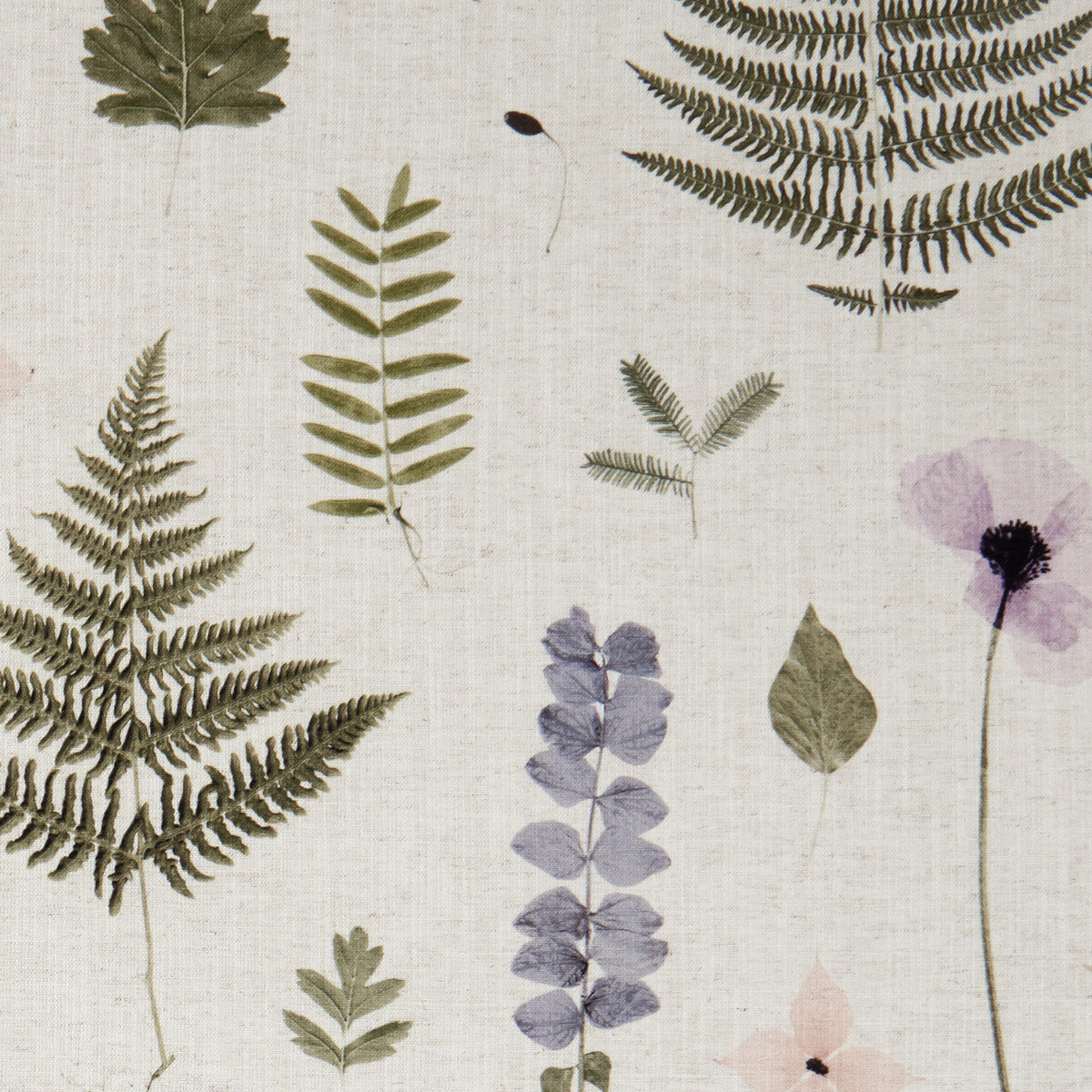 Herbarium-Blush/Natural