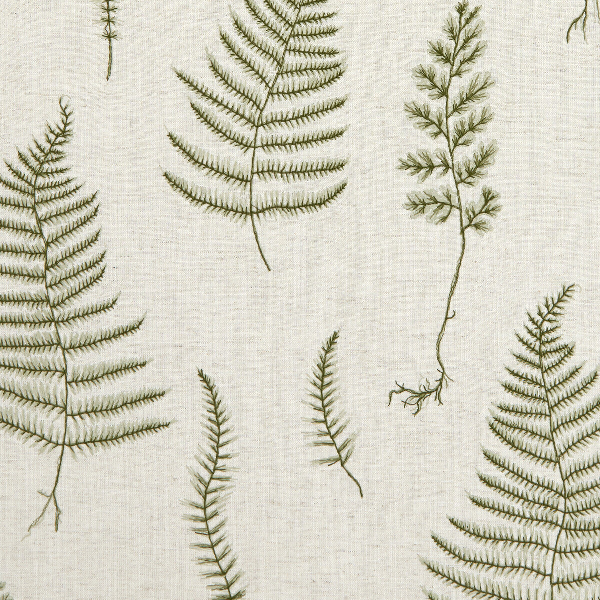 Lorelle-Natural/Forest