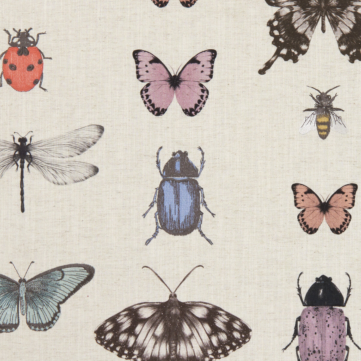 Papilio-Blush/Natural