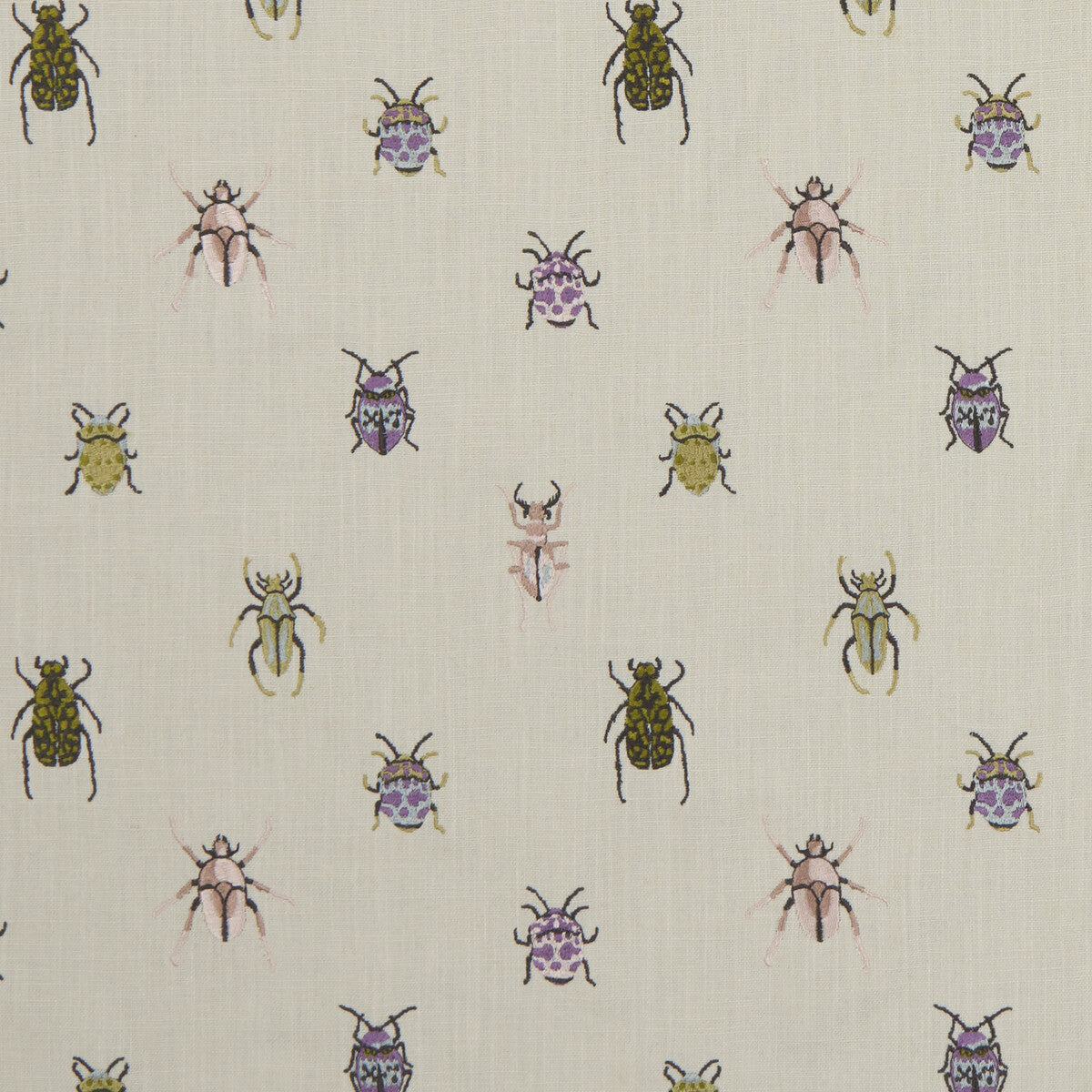 Beetle-Multi