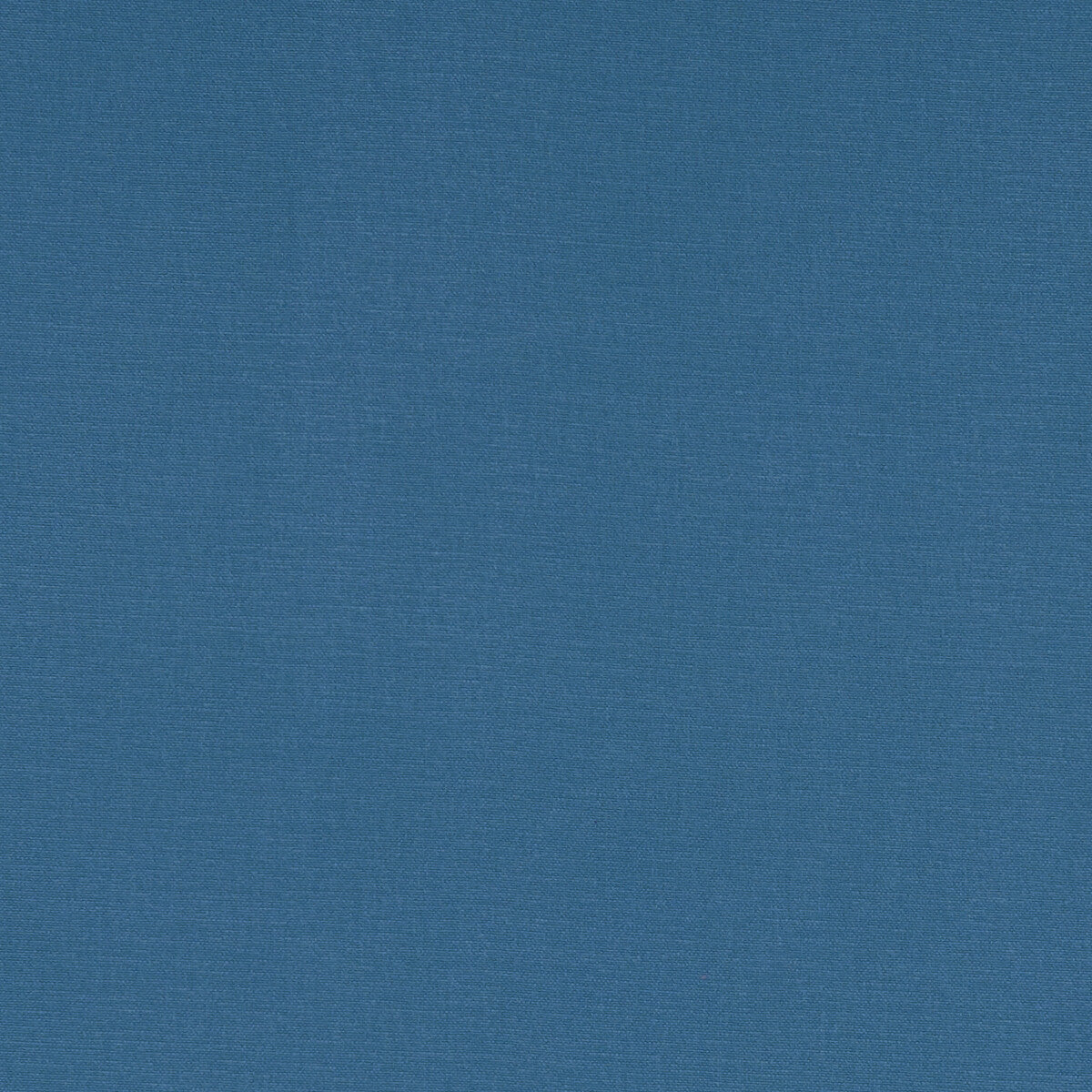 Alora-Bluejay