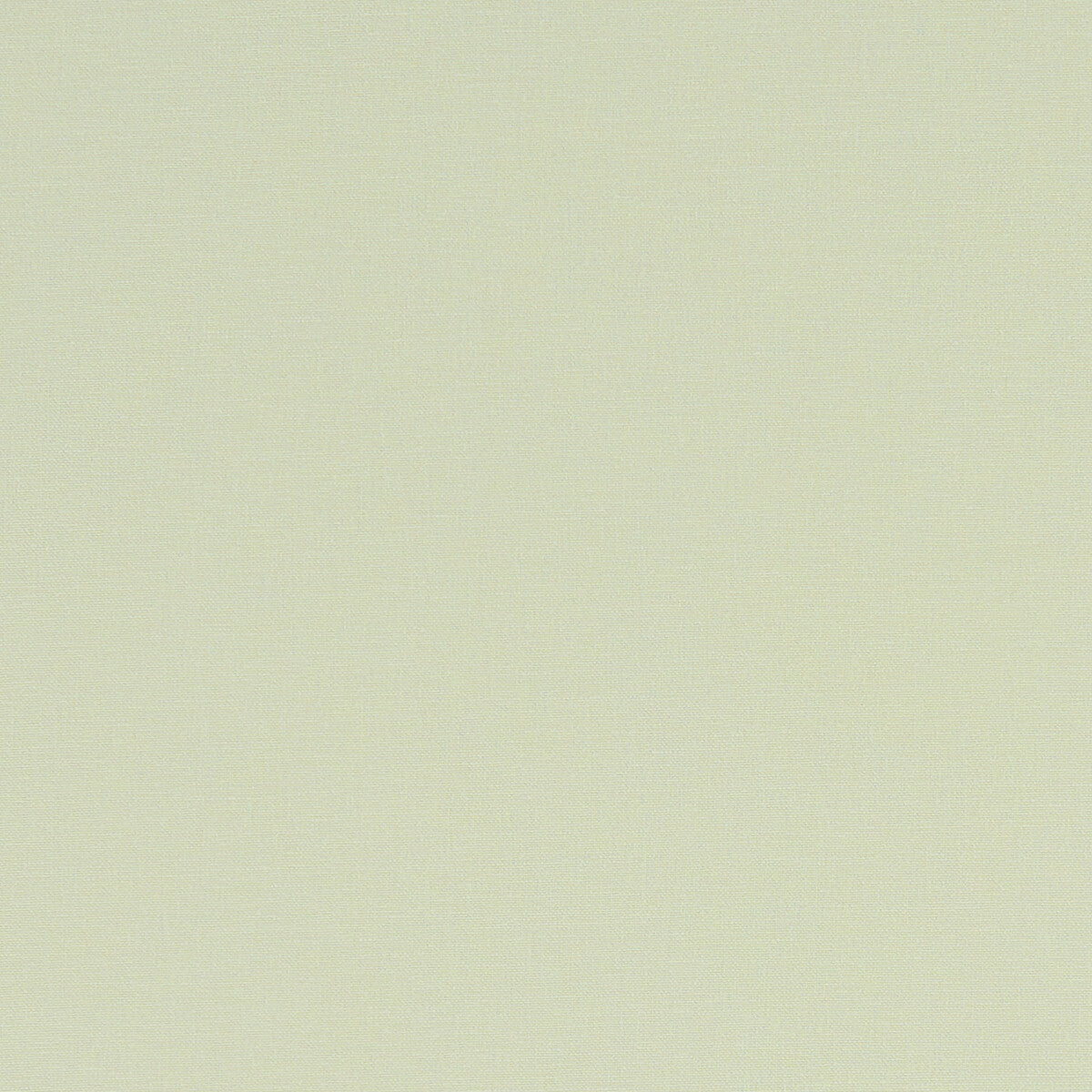 Alora-Celadon