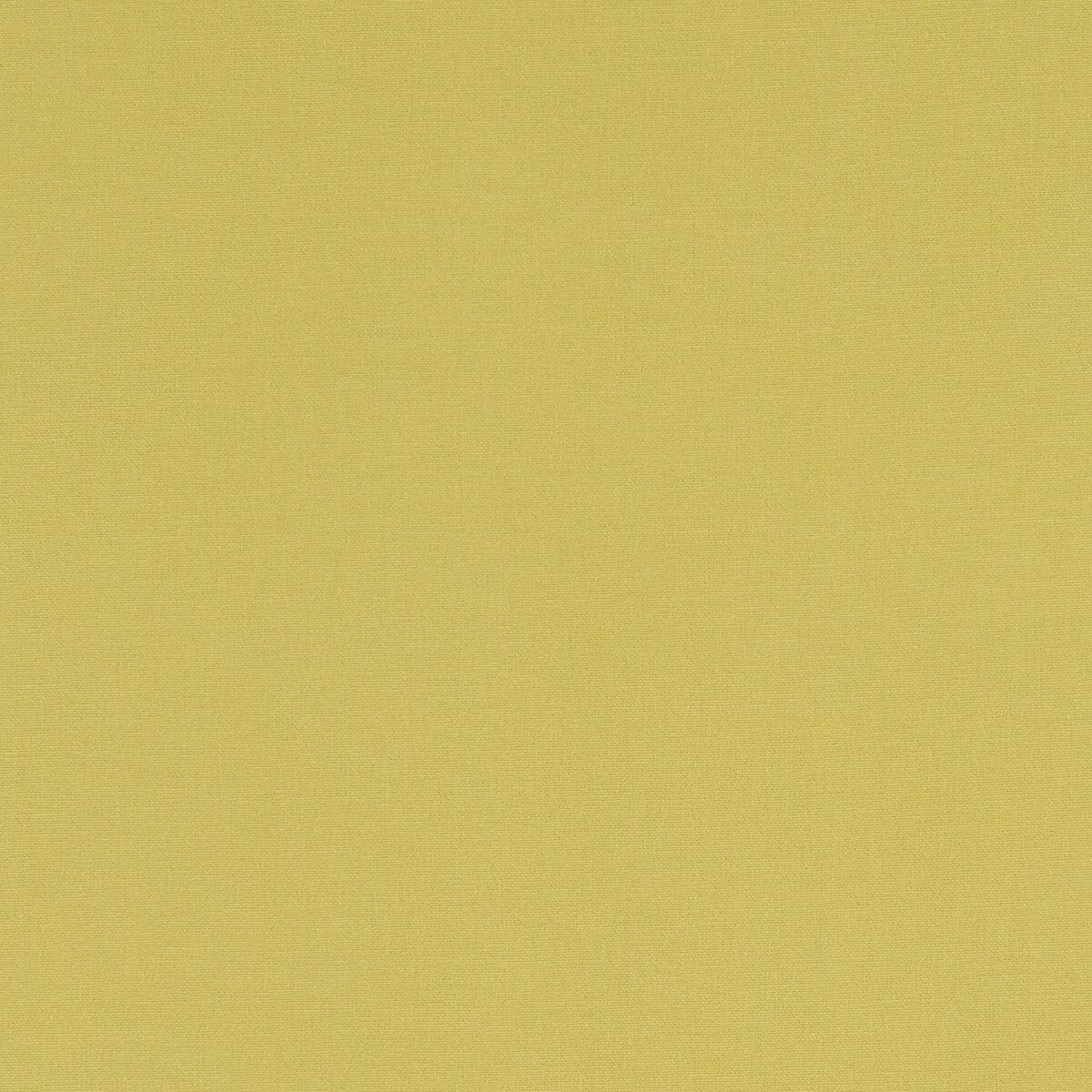 Alora-Celery