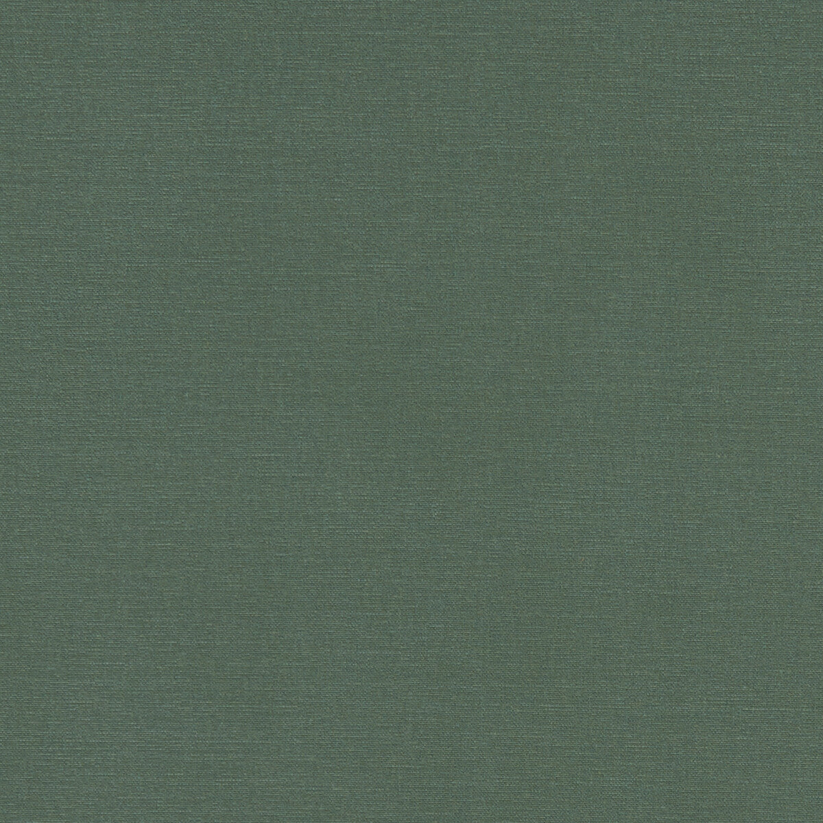 Alora-Forest