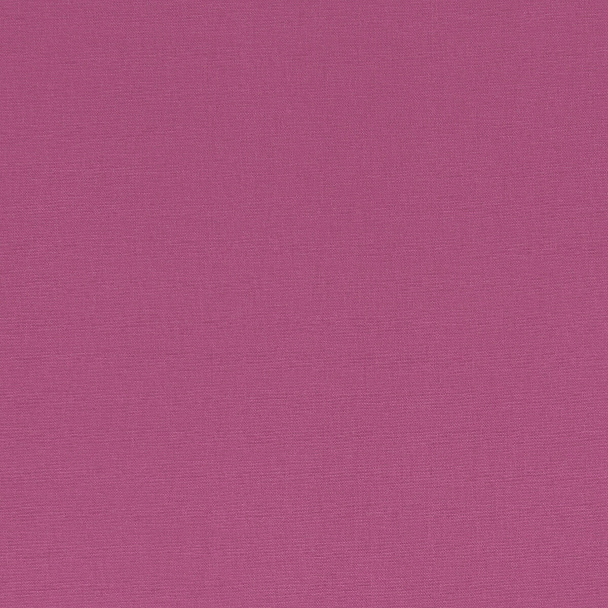 Alora-Fuchsia