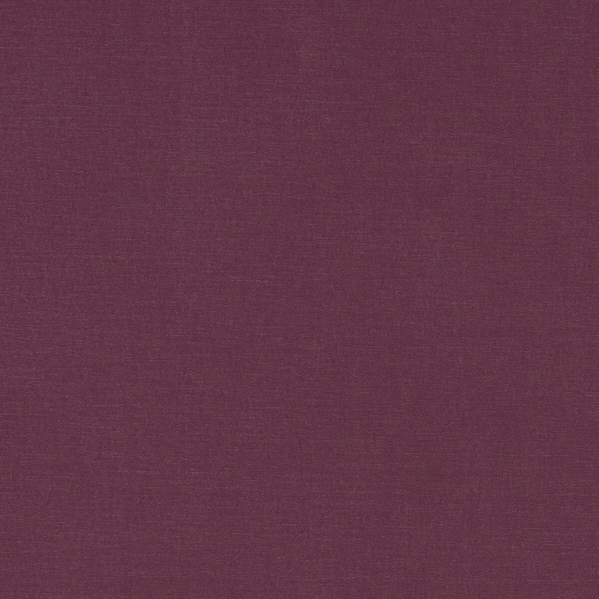 Alora-Grape