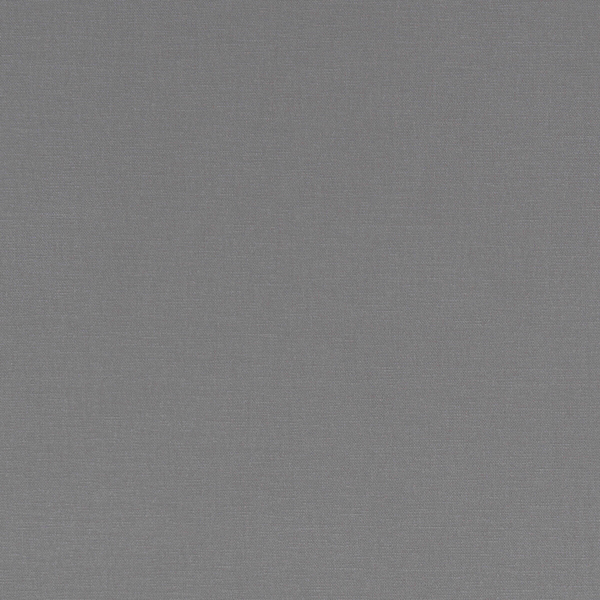 Alora-Grey