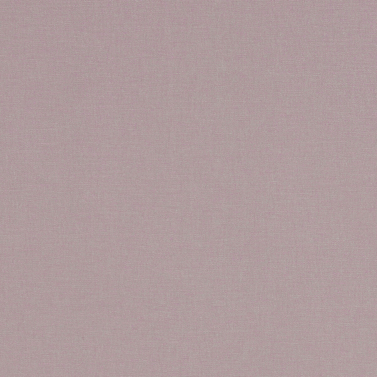 Alora-Heather