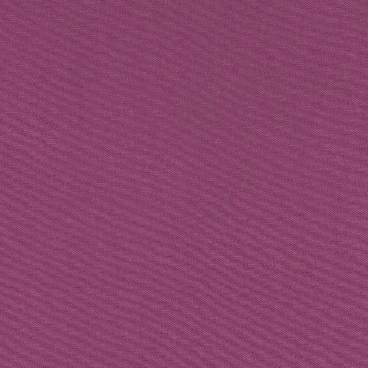 Alora-Magenta