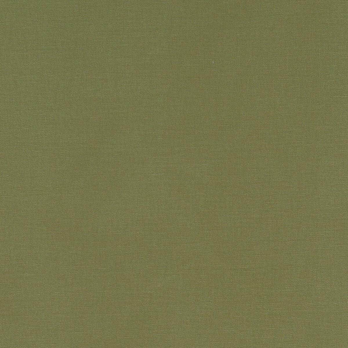 Alora-Moss