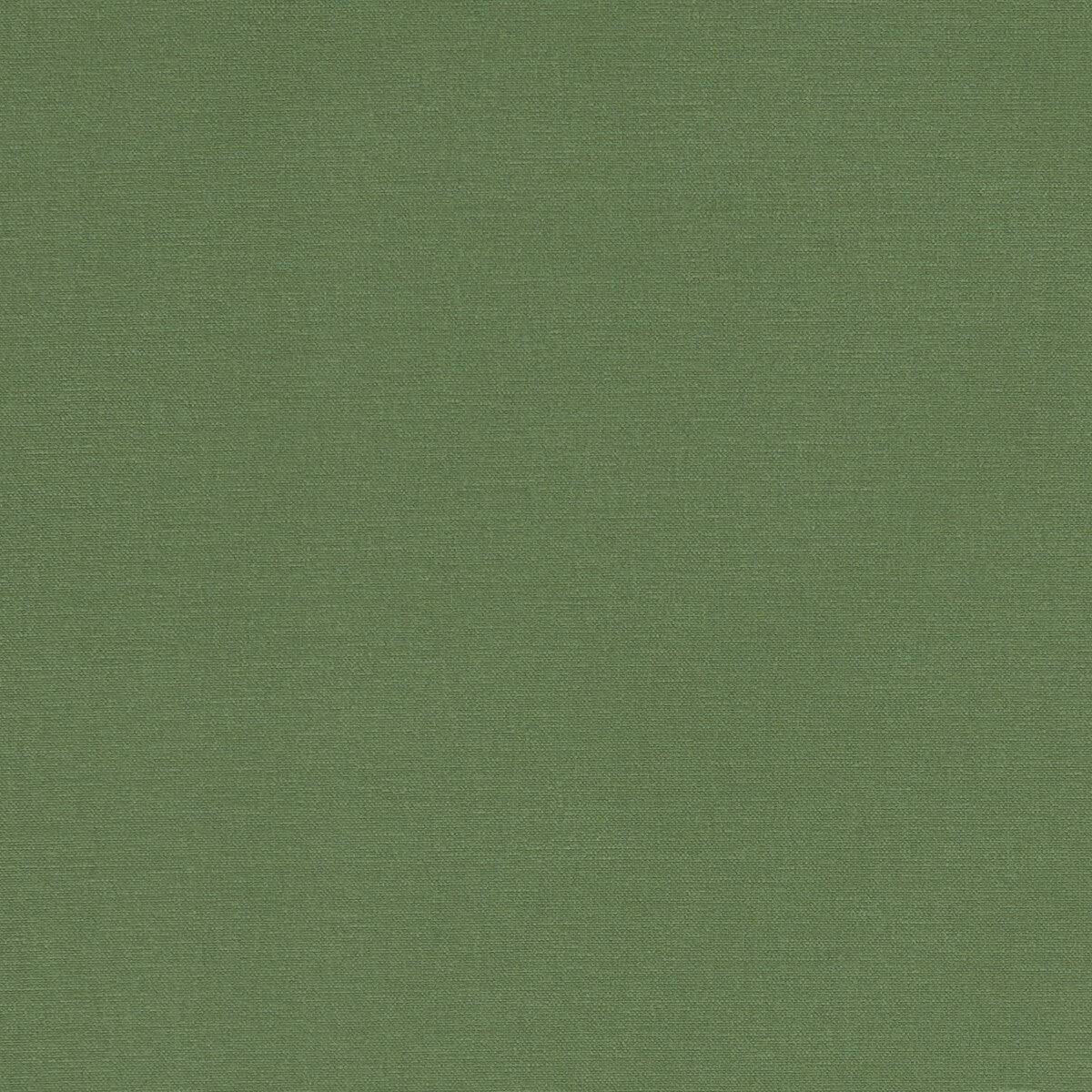 Alora-Palm