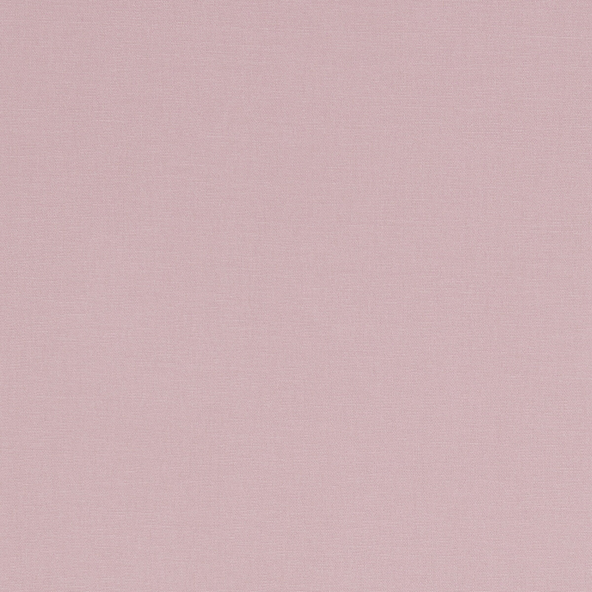Alora-Peony
