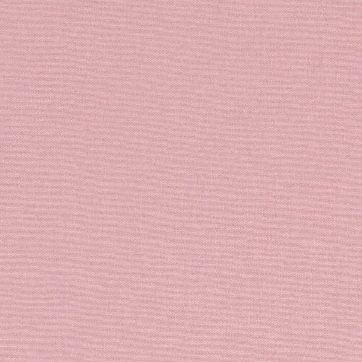 Alora-Pink