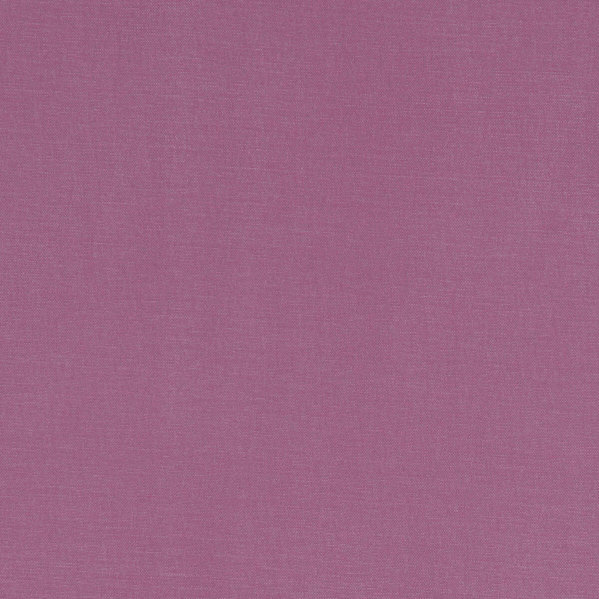 Alora-Sorbet