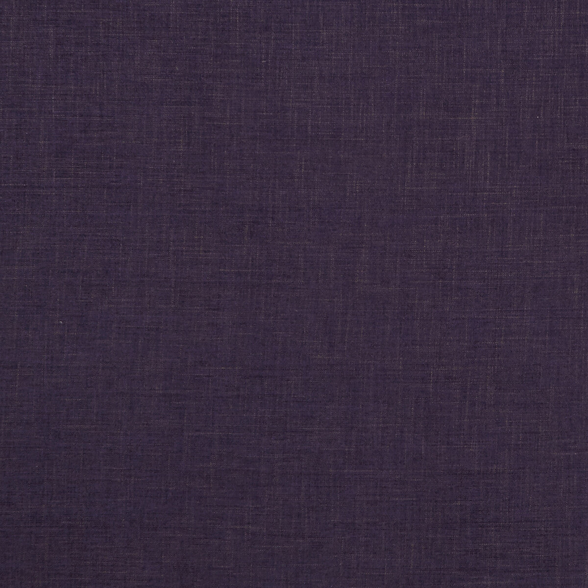 Albany-Grape