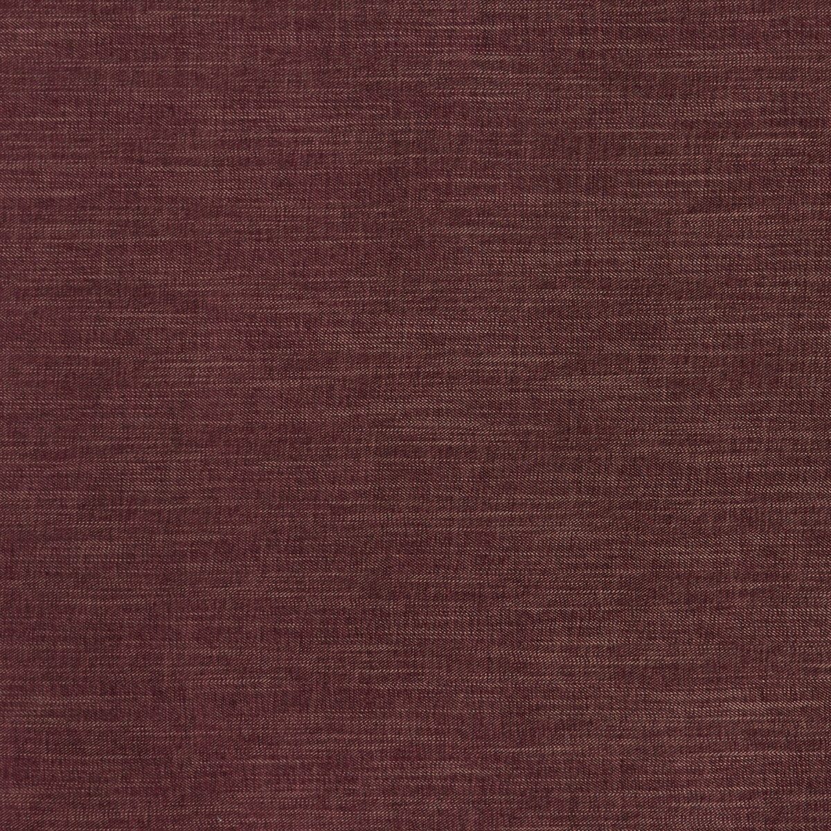 Moray-Damson