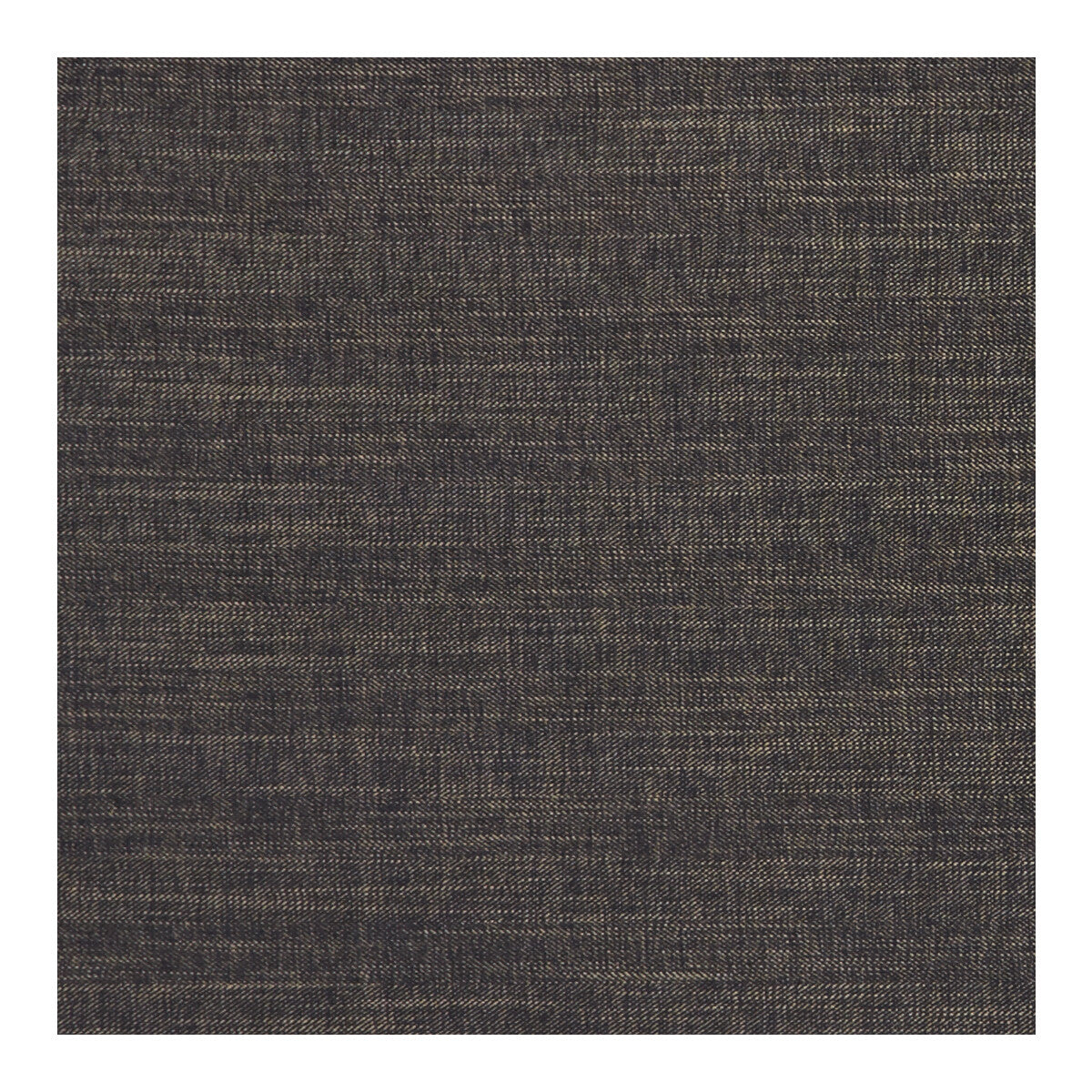 Moray-Ebony