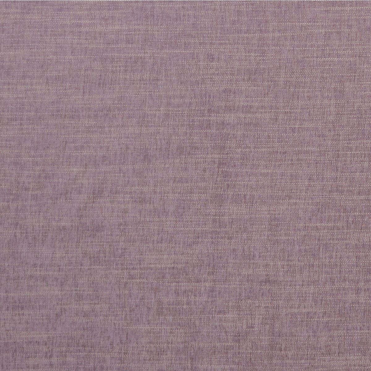 Moray-Heather