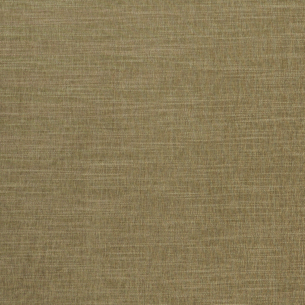 Moray-Moss