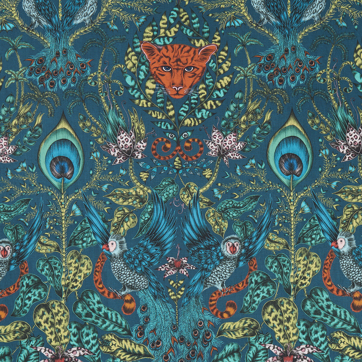 Amazon-Navy
