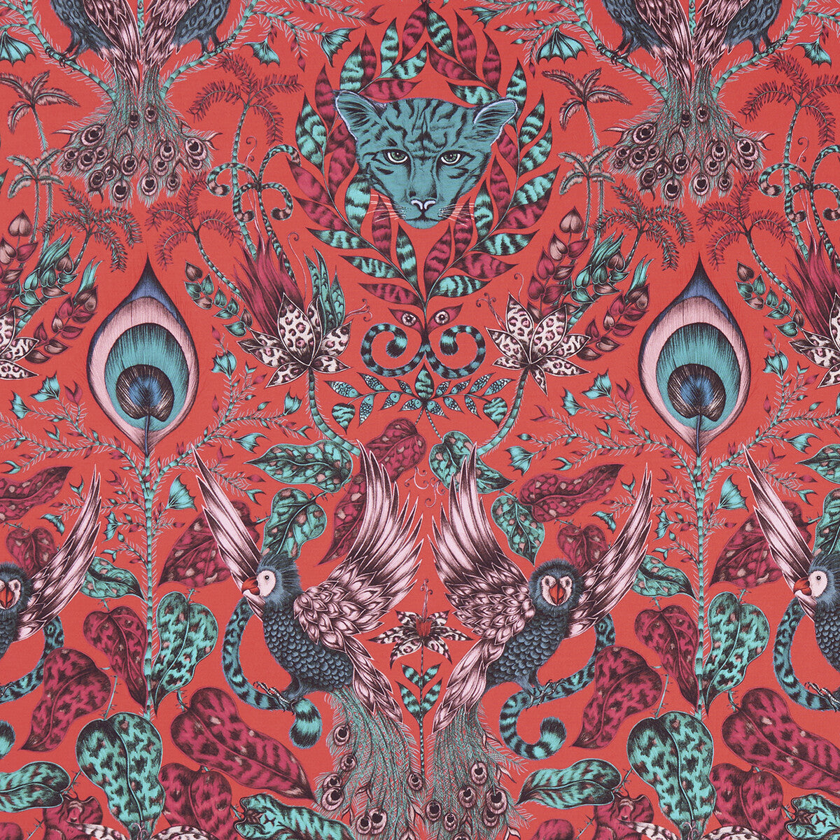 Amazon-Red