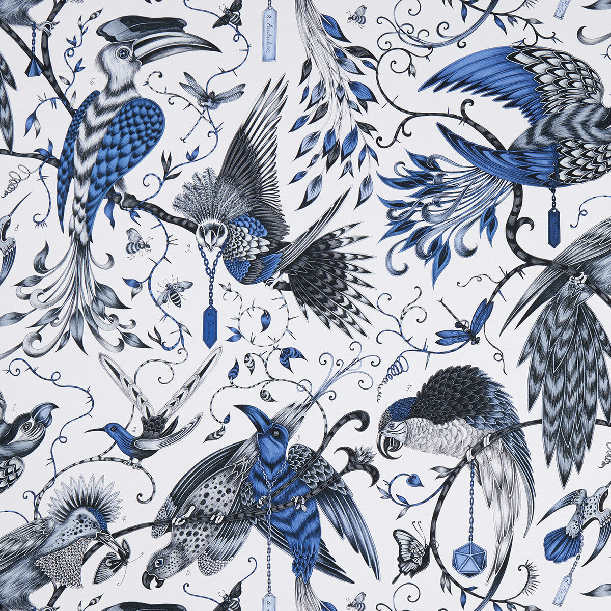 Audubon-Blue