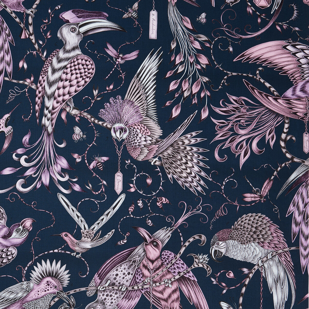 Audubon-Pink