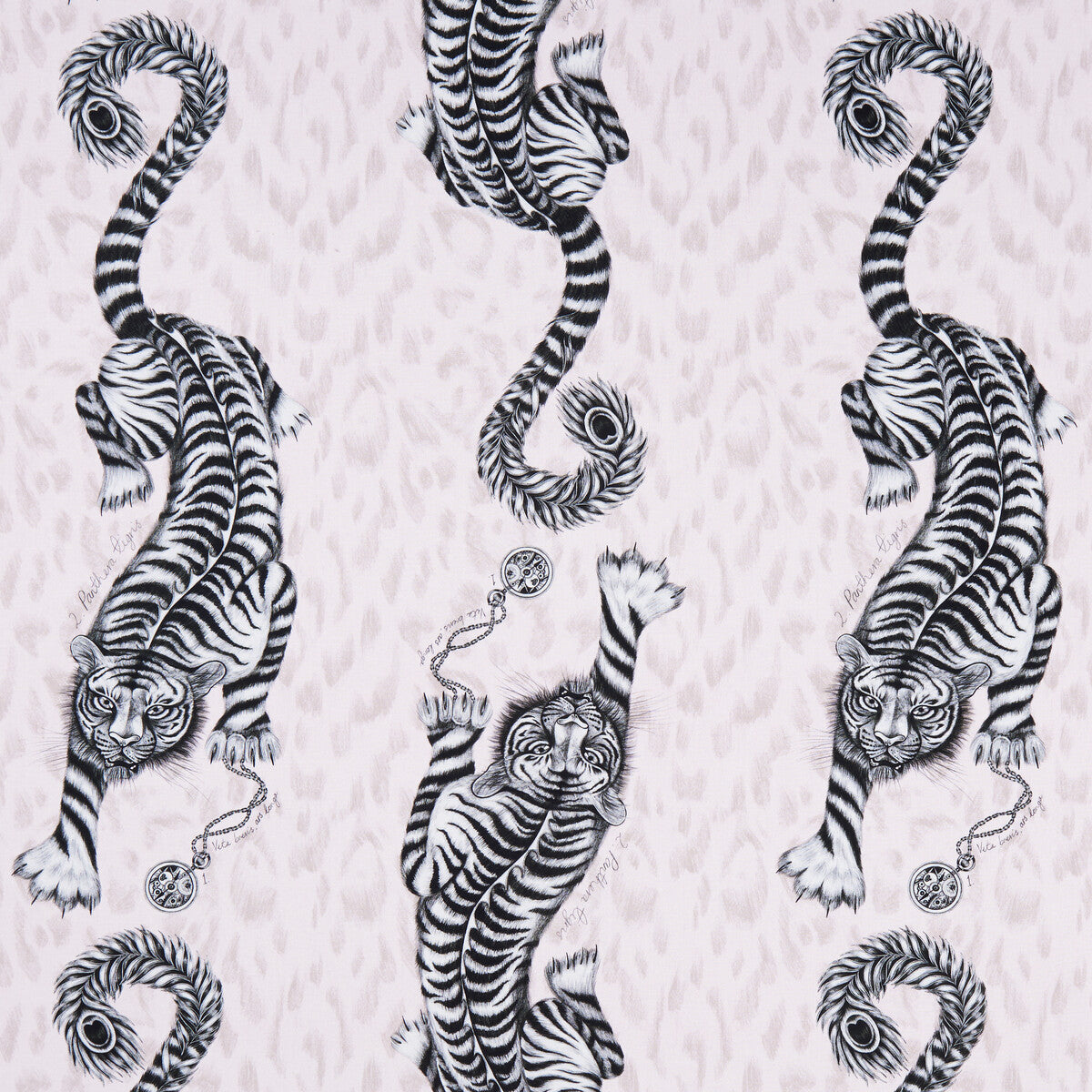 Tigris-Pink