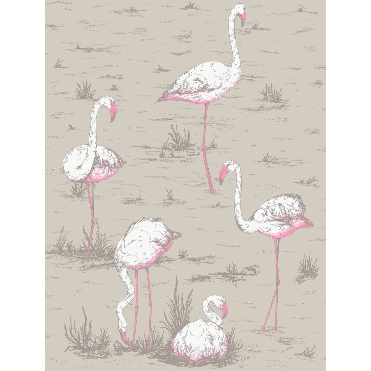 Flamingos Cot/Lin Print-Wht/Fuch On Tup