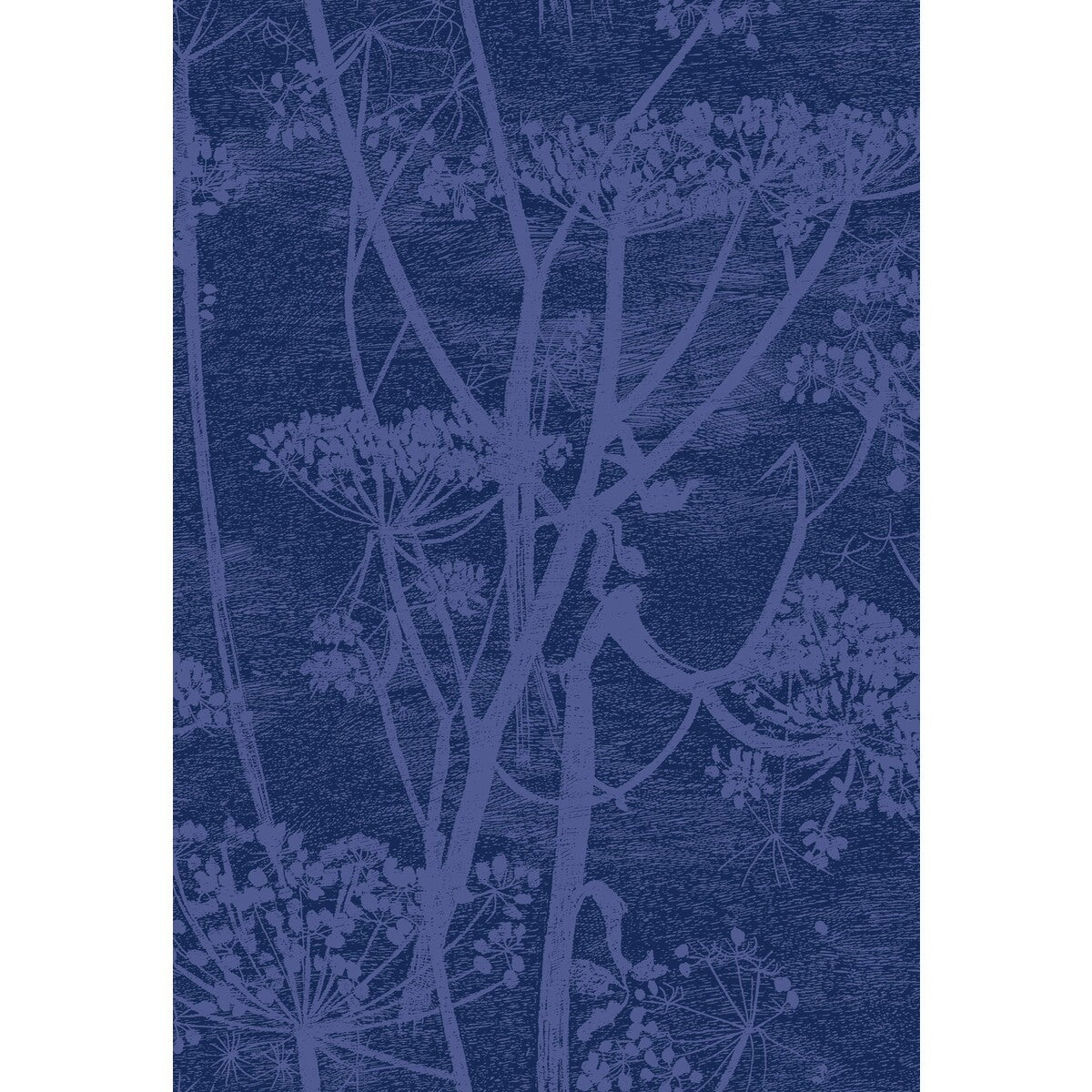 Cow Parsley Print-Hyacinth/Ink