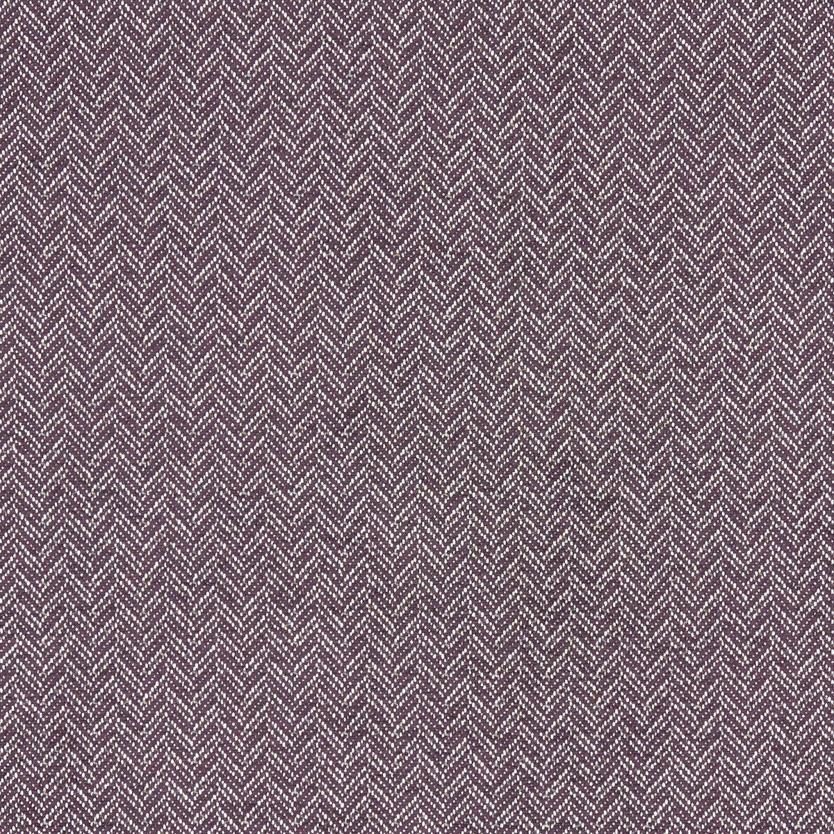 Trinity-Damson