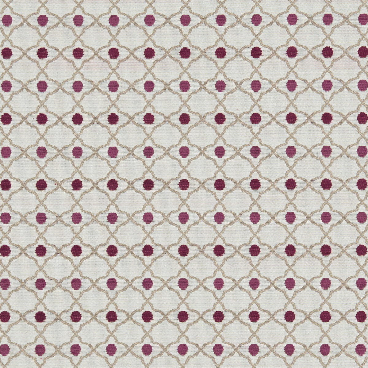 Venus-Raspberry