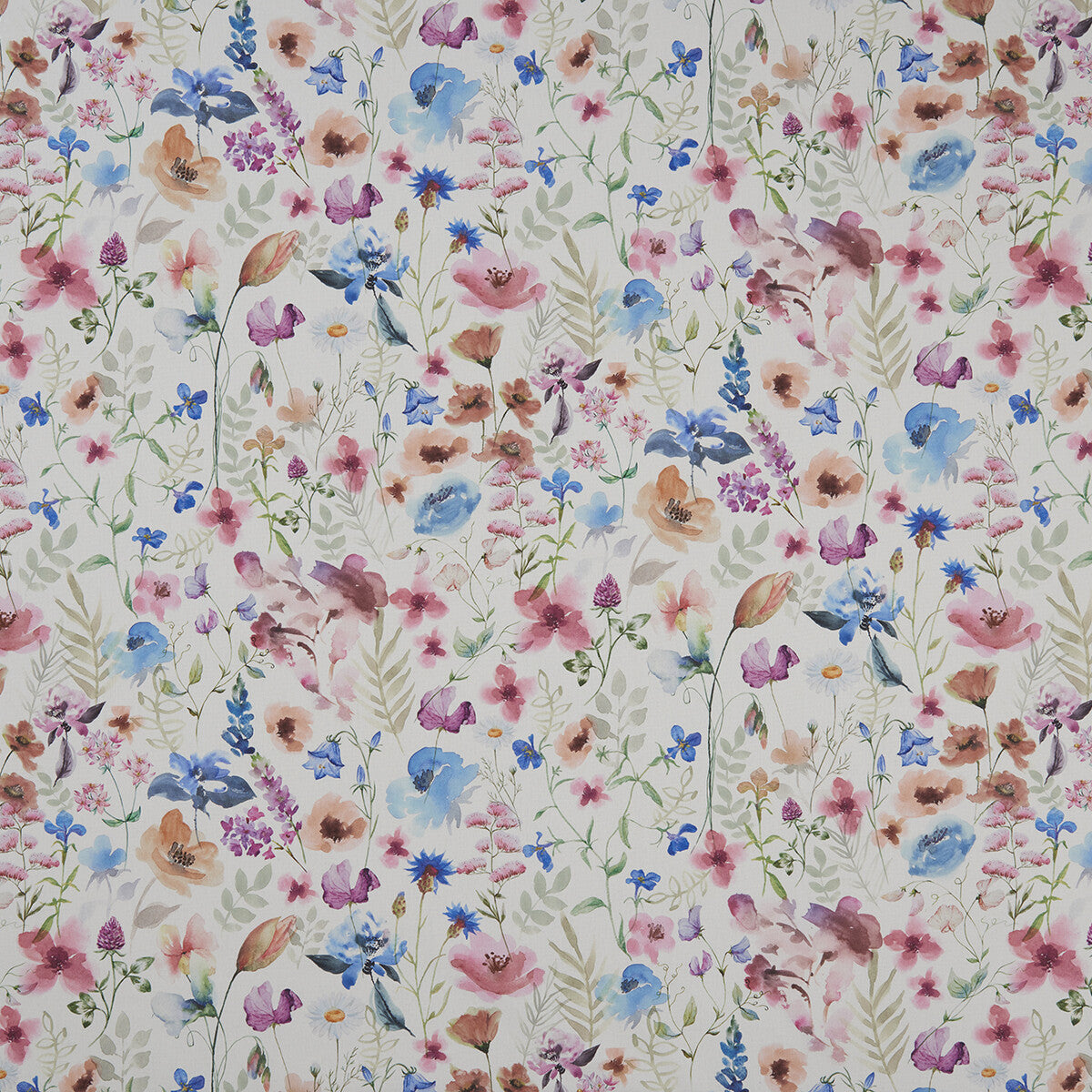 Lolita-Multi/Cream