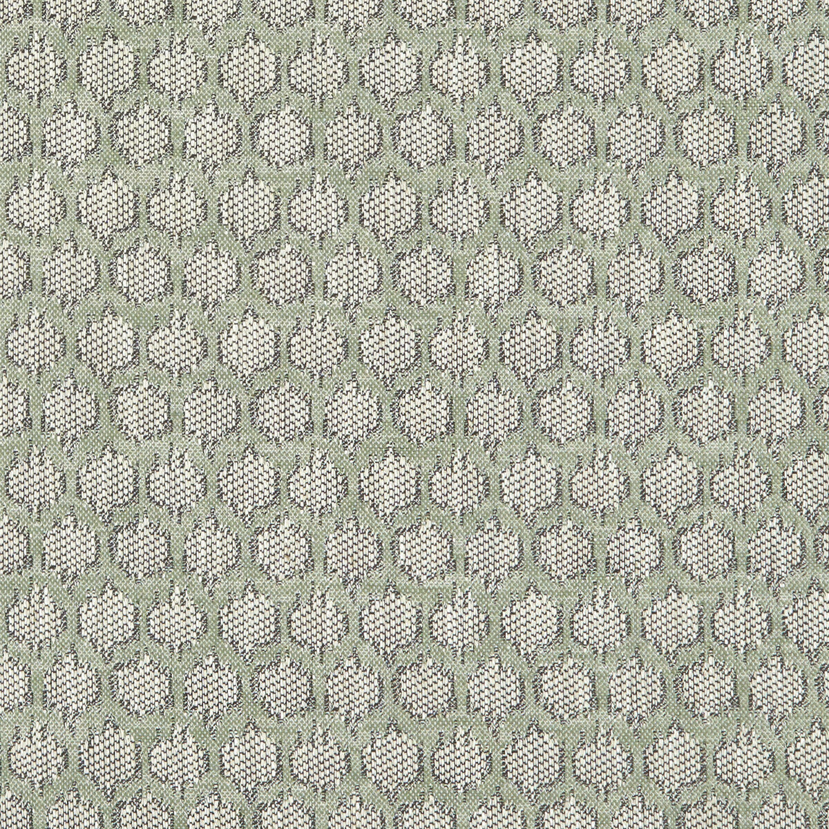 Dorset-Sage