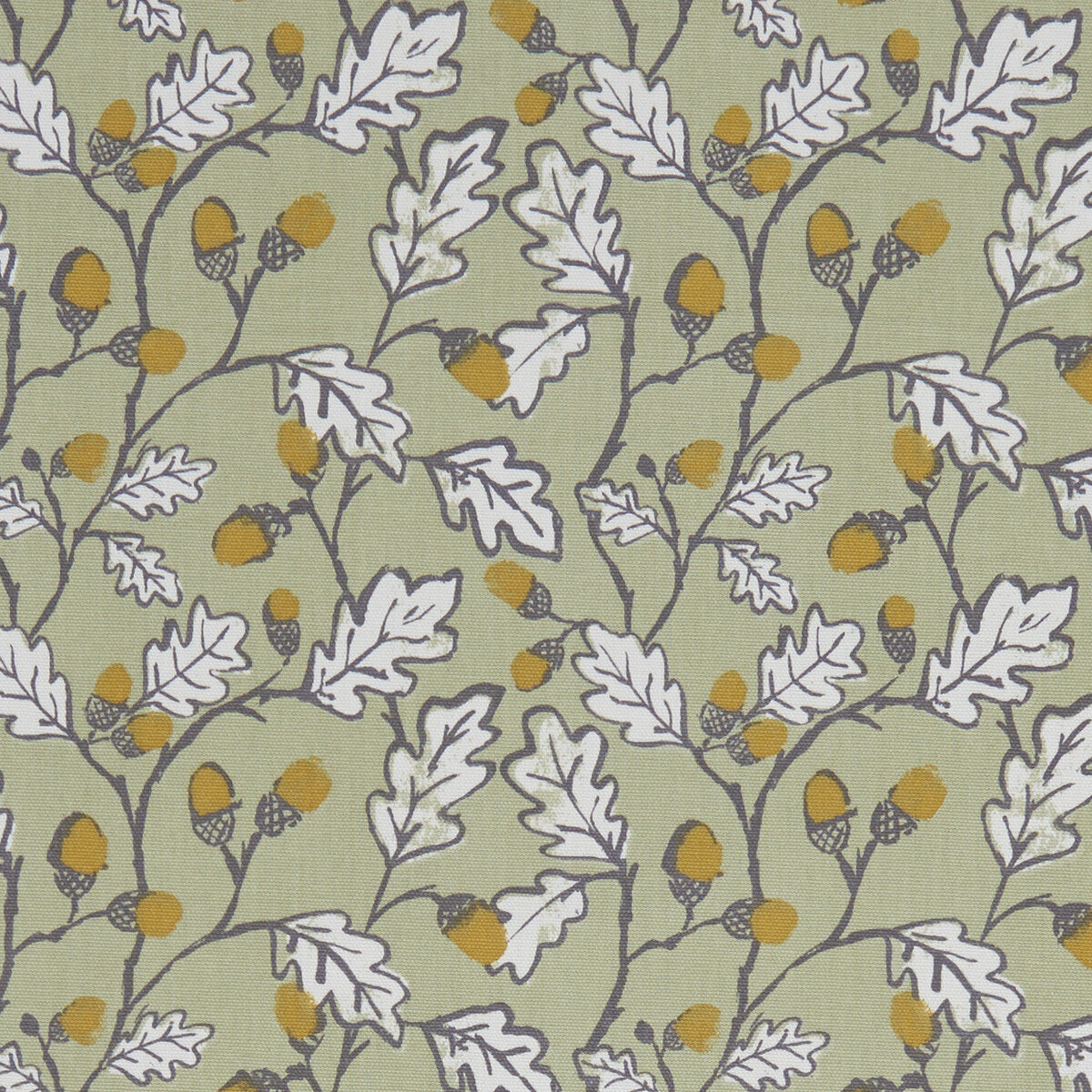Acorn Trail-Sage