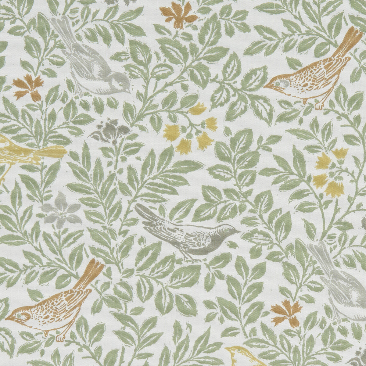Bird Song-Autumn