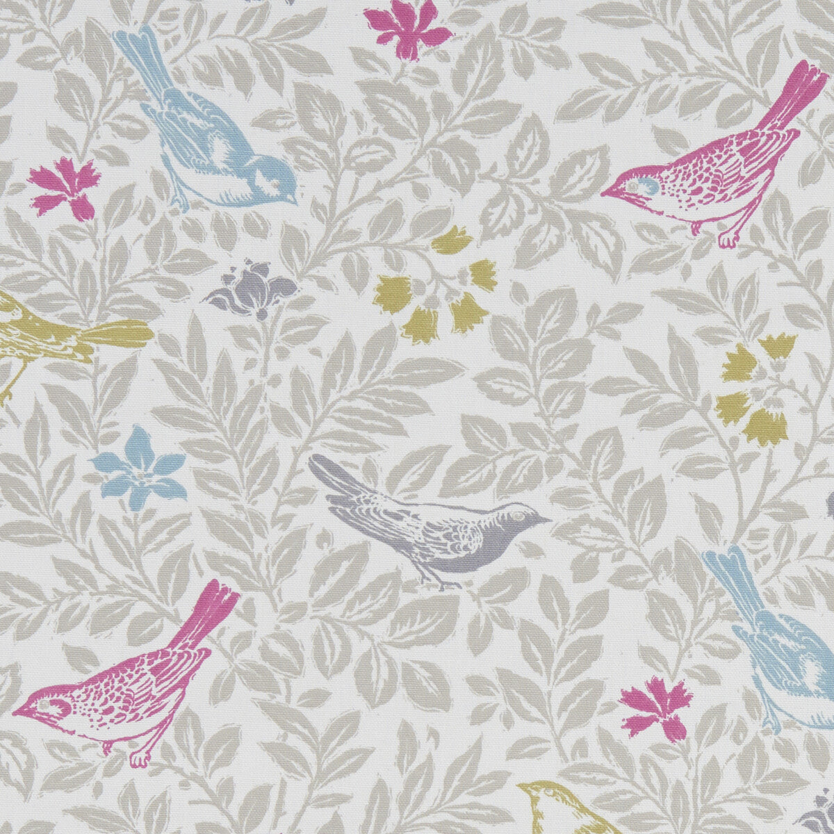 Bird Song-Summer