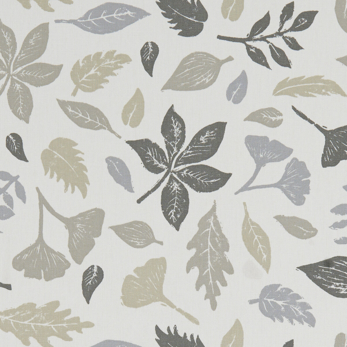 Hawthorn-Natural