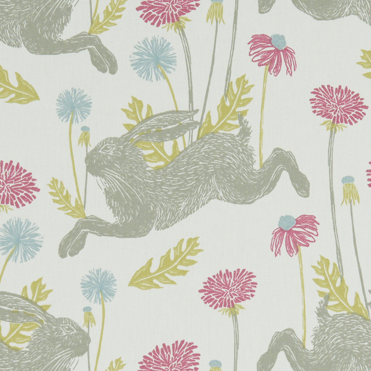 March Hare-Summer