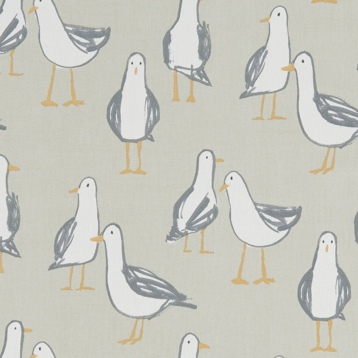 Laridae-Taupe