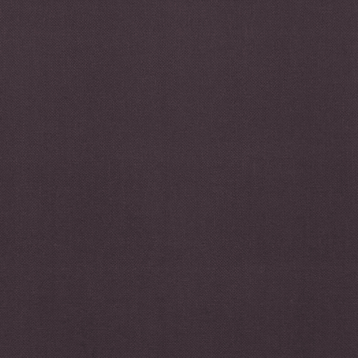 Renzo-Damson