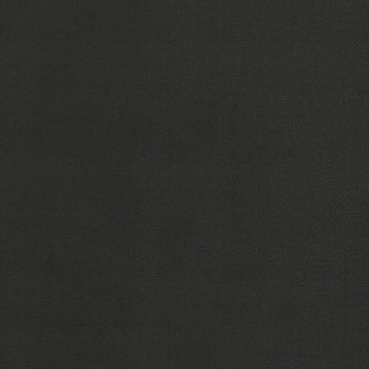 Renzo-Ebony